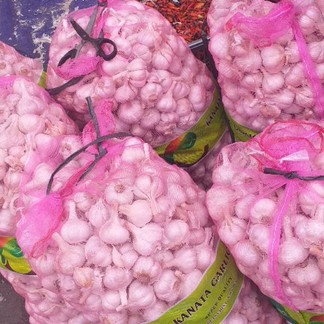 

Bawang putih honan 1kg murah !!