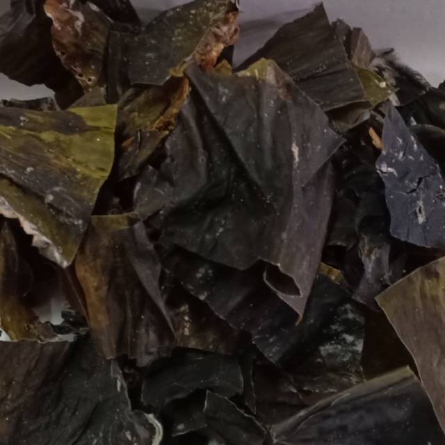 

Hai dai Pi ganggang laut konbu 100 gram