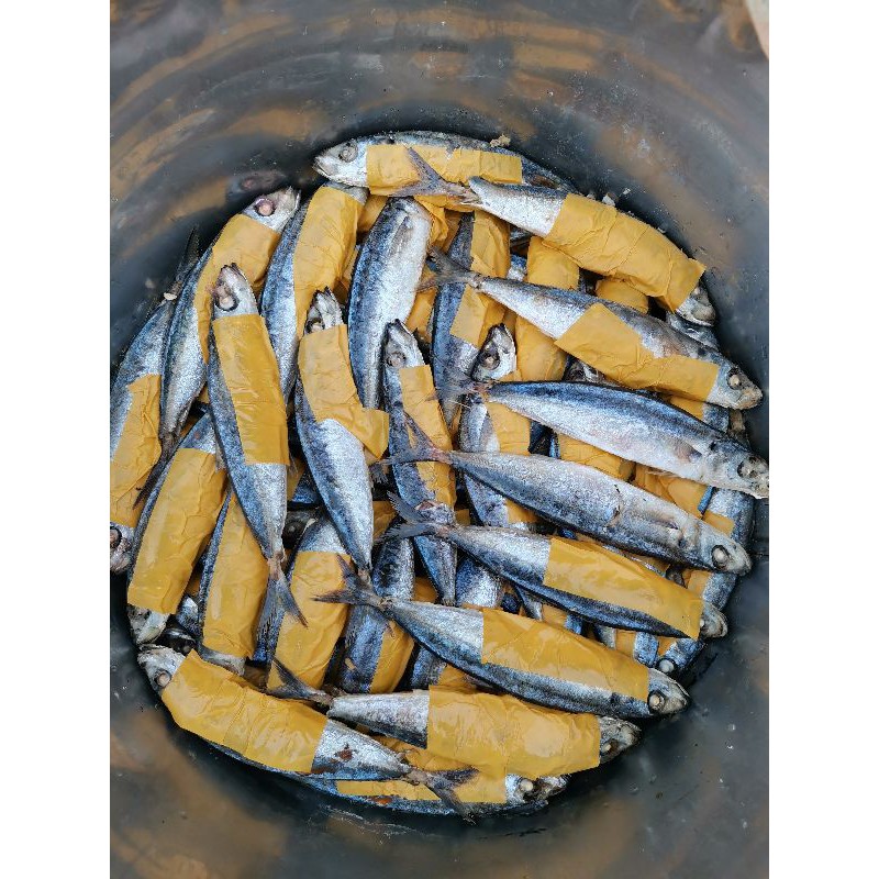 

deles 1 ikan