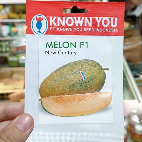 KYS - benih MELON NEW CENTURY isi 4 biji - benih melon hybrida - known you seed