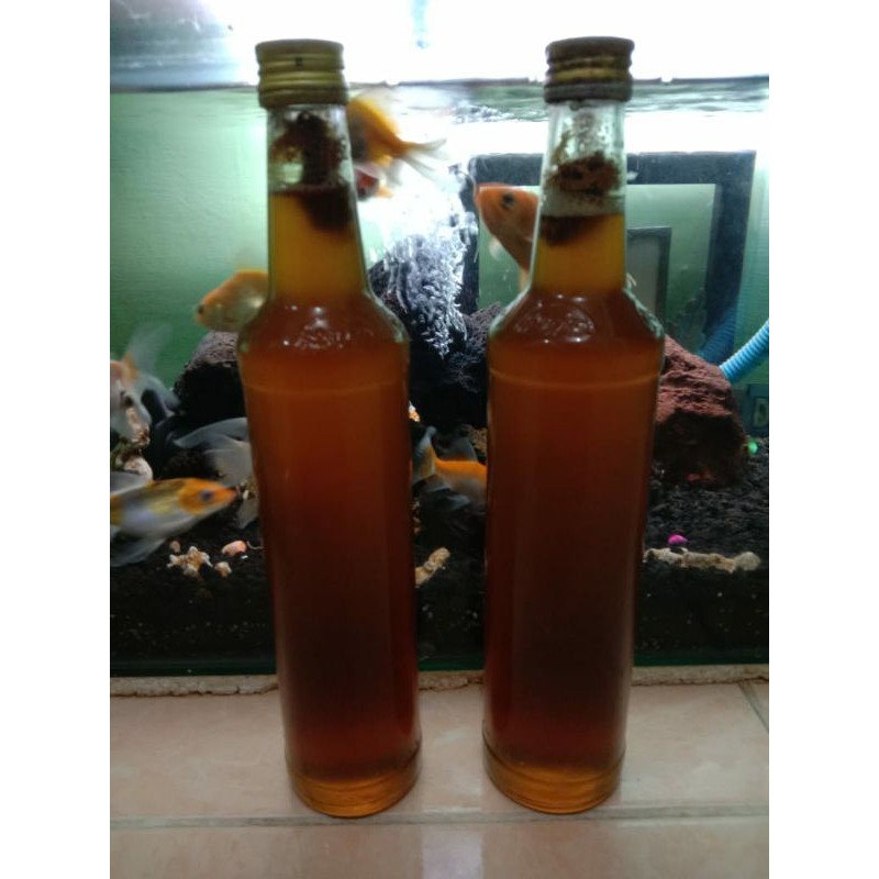 

Madu Murni Asli Sumatera