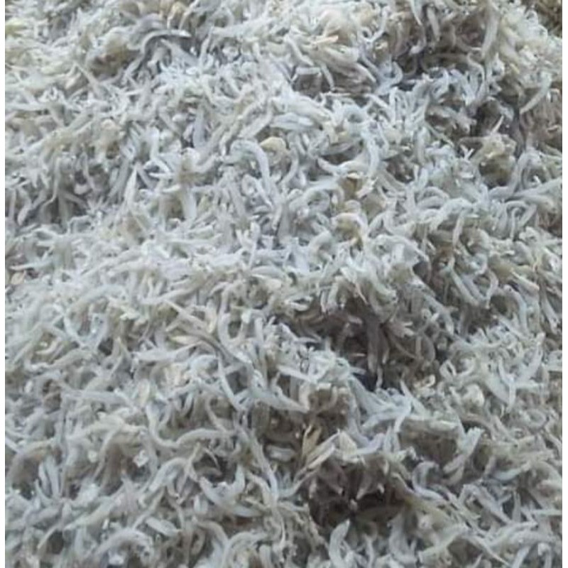 

Ikan teri