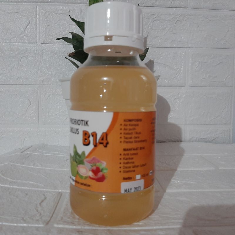 Probiotik Siklus B14 500ml