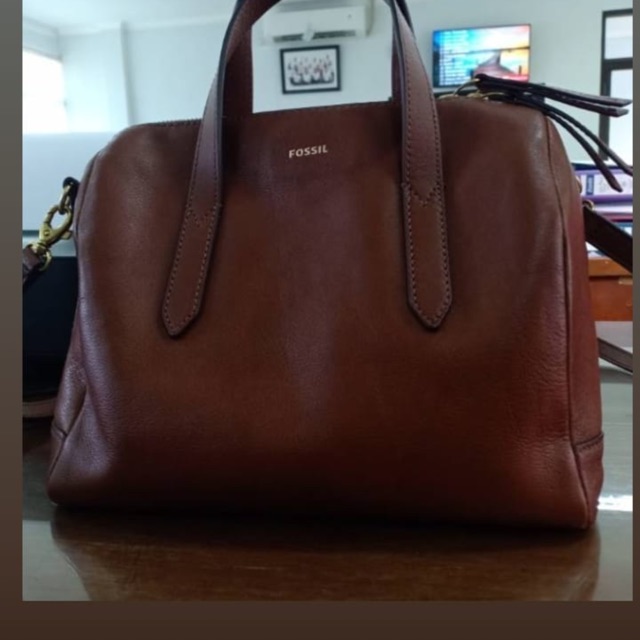 Tas fossil second