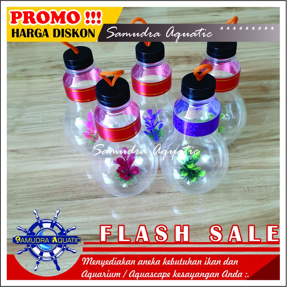 Botol Mini Cupang, Botol Soliter Ikan Hias