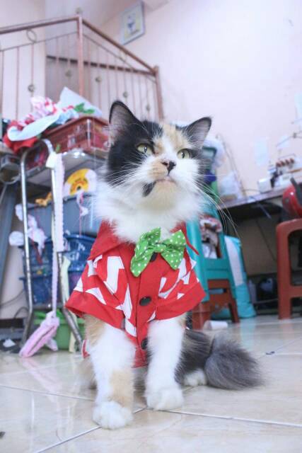 Kemeja merah putih zig-zag lucu untuk kucing dan anjing / baju kucing murah size S-XL