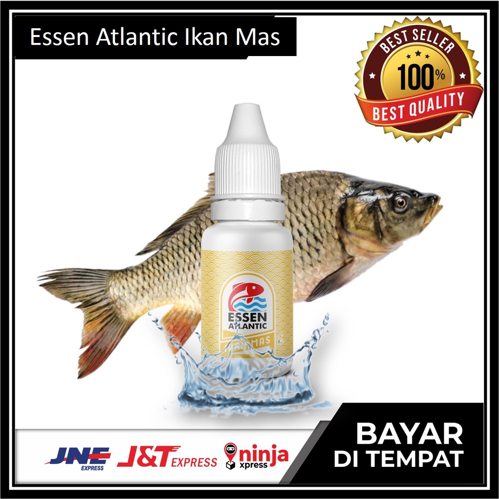 Umpan Ikan Mas Essen Atlantic Atlantik Mancing Galatama Kilogebrus 15ml