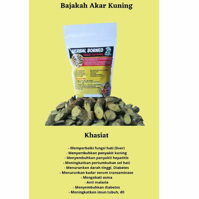 Bajakah Akar Kuning 1 2 Kg 500 Gram Murah Asli Pilihan Terbaik Herbal Borneo Shopee Indonesia