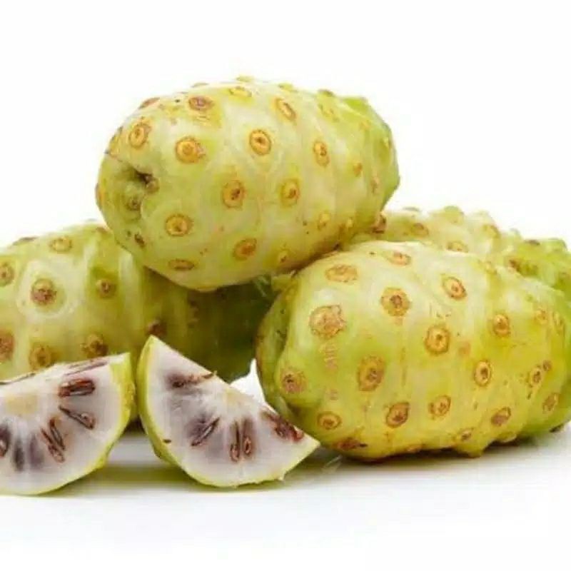 

MENGKUDU/PACE/OBAT HERBAL