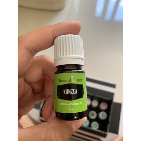 

kunzea yl