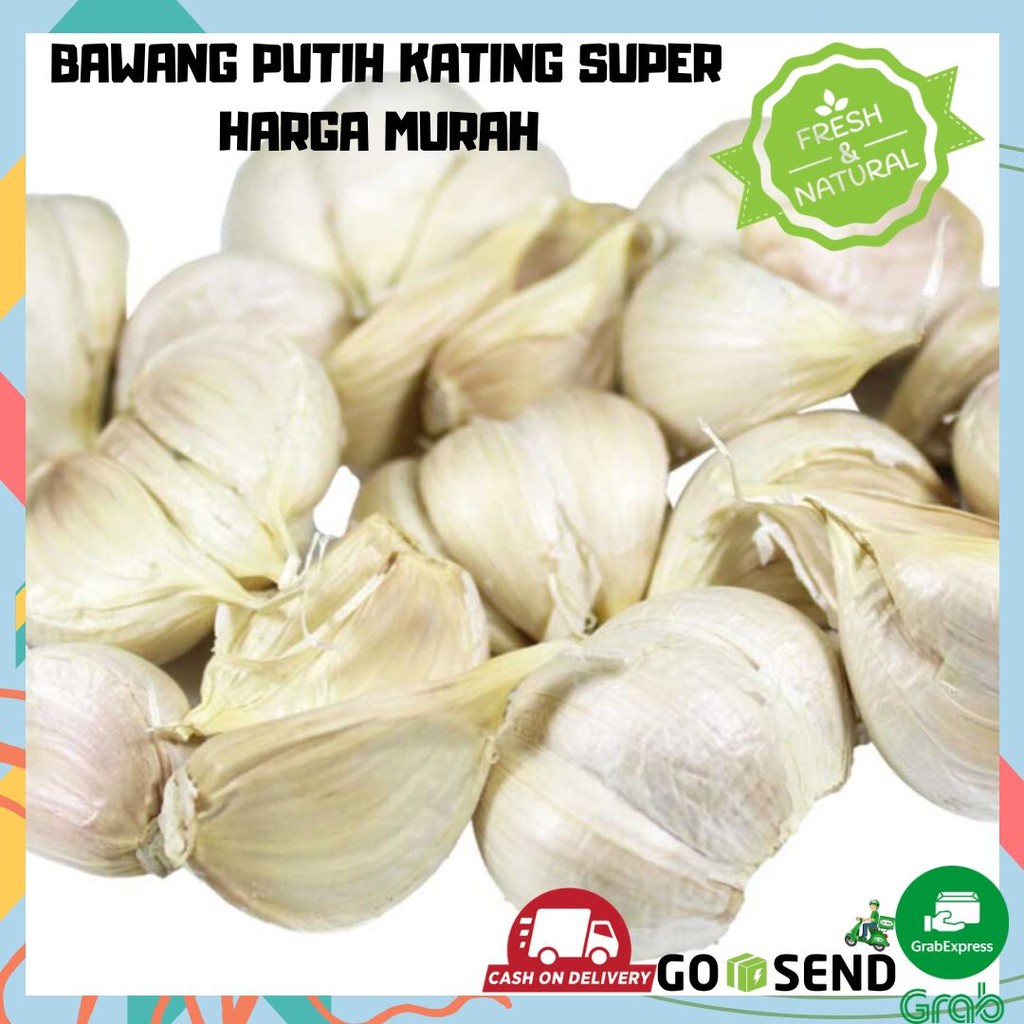 BAWANG PUTIH KATING 1 KG SAYURAN SEGAR EMPON EMPON BUMBU DAPUR