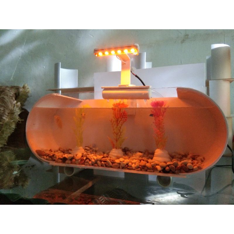 Aquarium Akrilik Minimalis ( 30 cm x 10 cm x 11 cm )