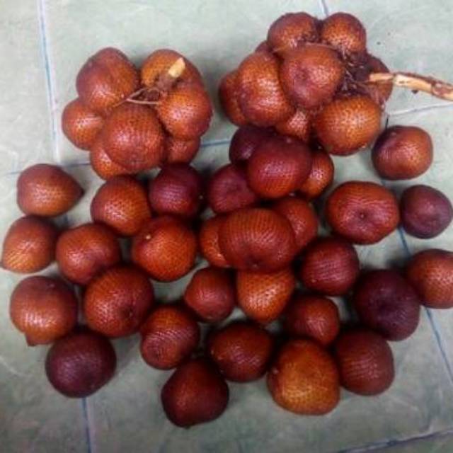

Salak Bali Asli Rasa Sepet Asem Manis Size Kecil~Sedang [1kg]