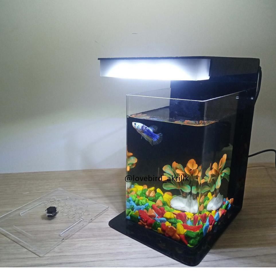 Harga Aquarium Akrilik Terbaik Perawatan Hewan Hobi Koleksi