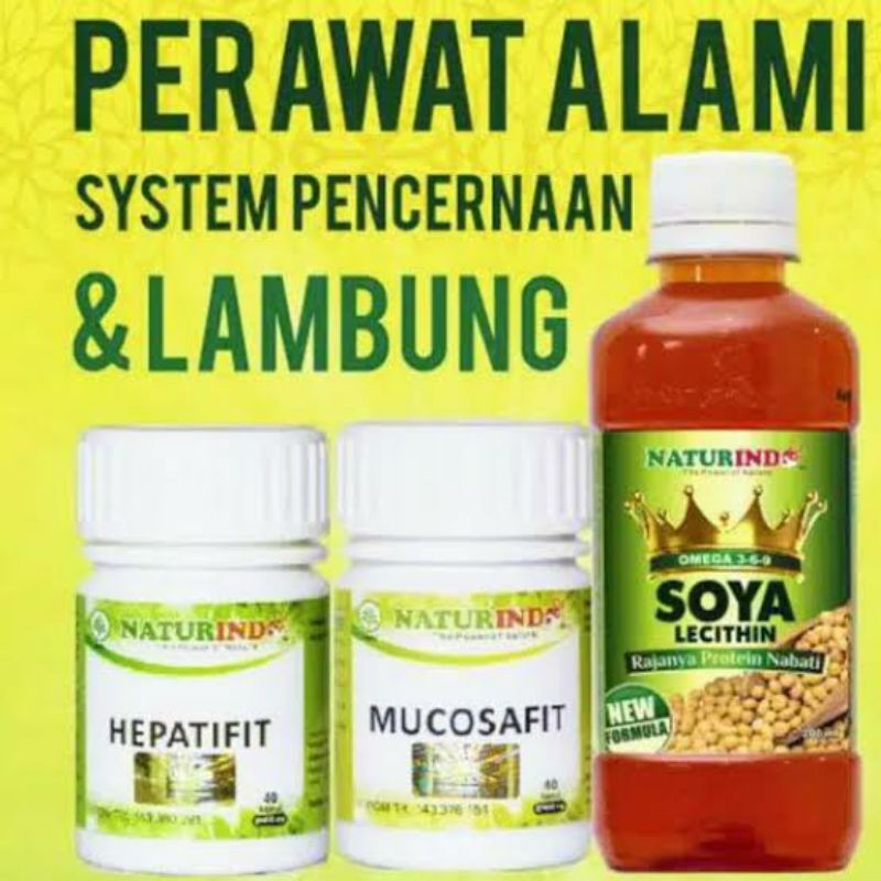 

Naturindo Jamu Herbal Lambung Sehat