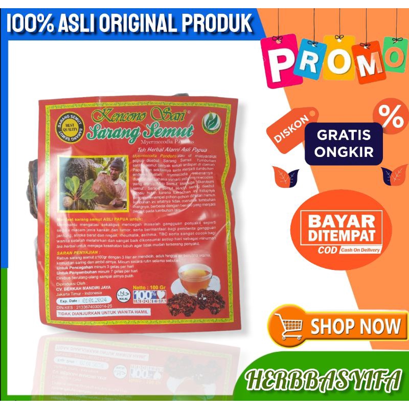 Teh Sarang Semut Curah | Sarang Semut Asli PAPUA KENCONO SARI 100 GRAM Asli Original