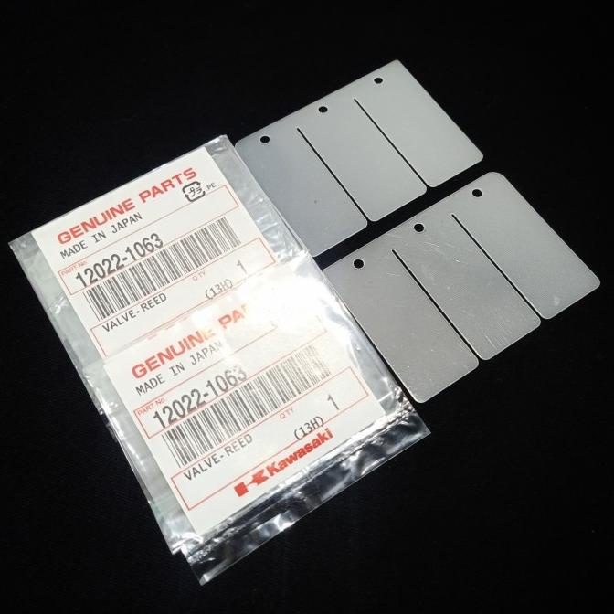 Lidah Membran Kx Original Ninja R Rr