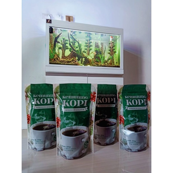 

kopilampung