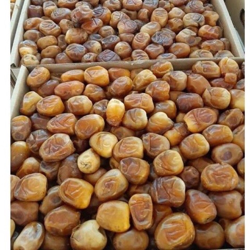 

kurma sukari al qassim