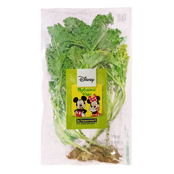 

DISNEY KALE GREEN HYDROONIK PACK