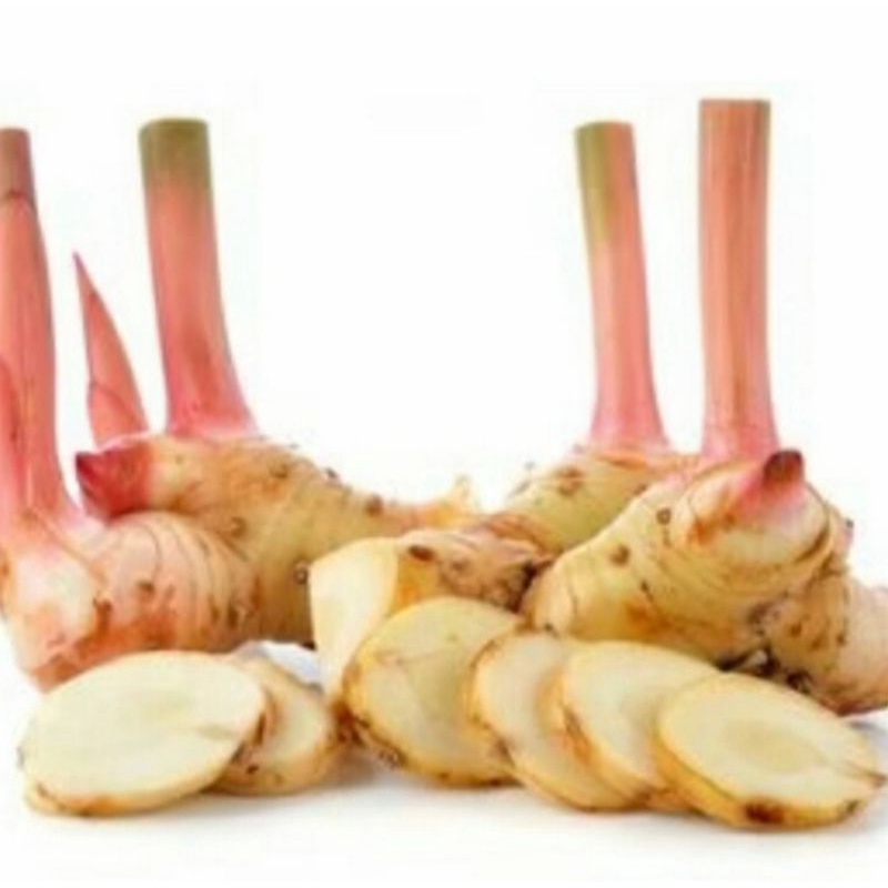 

Lengkuas laos 250 gr - Gerobak Sayur Palembang