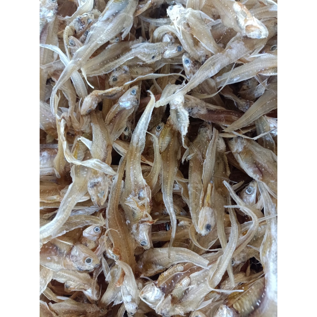 

Ikan gonjeng kering tawar