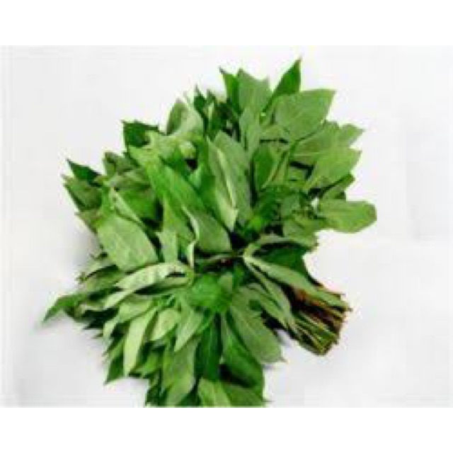 

Sayur daun singkong Toraja