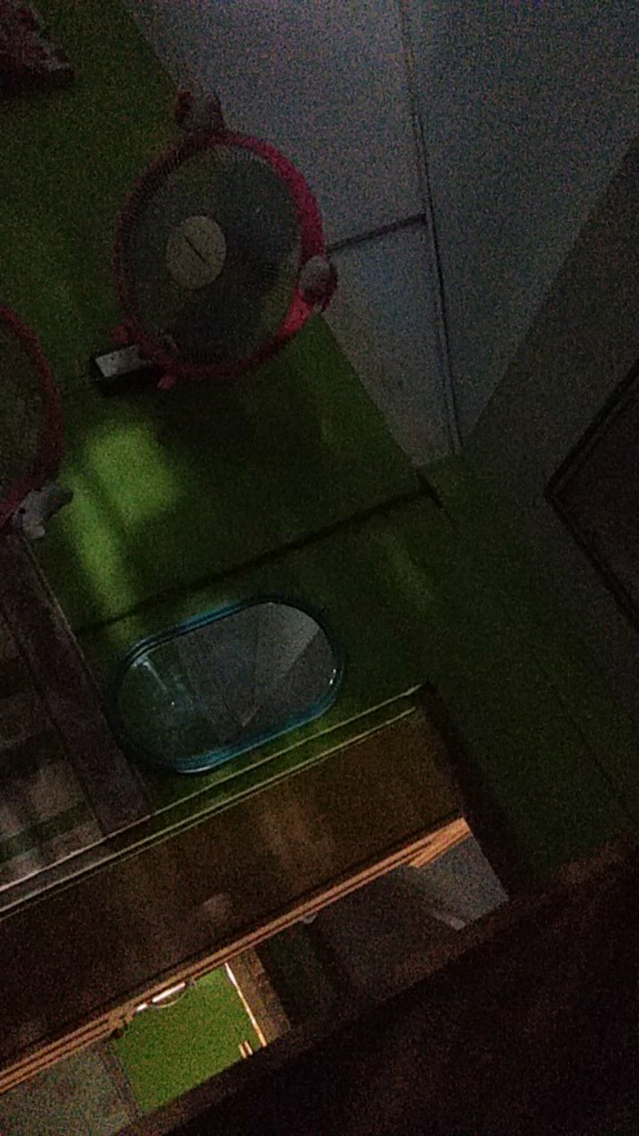 Daster Lowo Busui Bisa Ecer Dan Pilih Warna Motif Batik Pekalongan