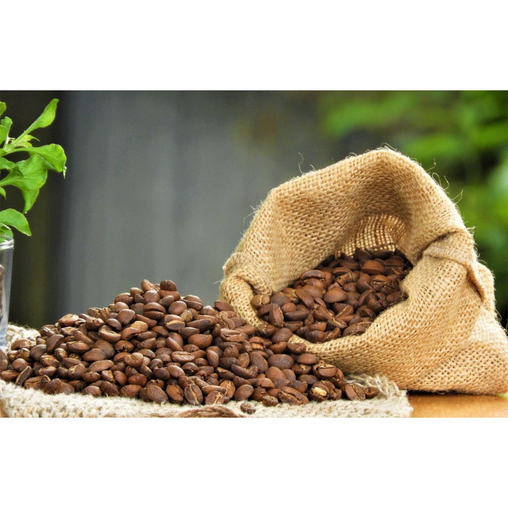 

Roasted Bean Arabika Paniai Papua 200gr | Enauto Coffee