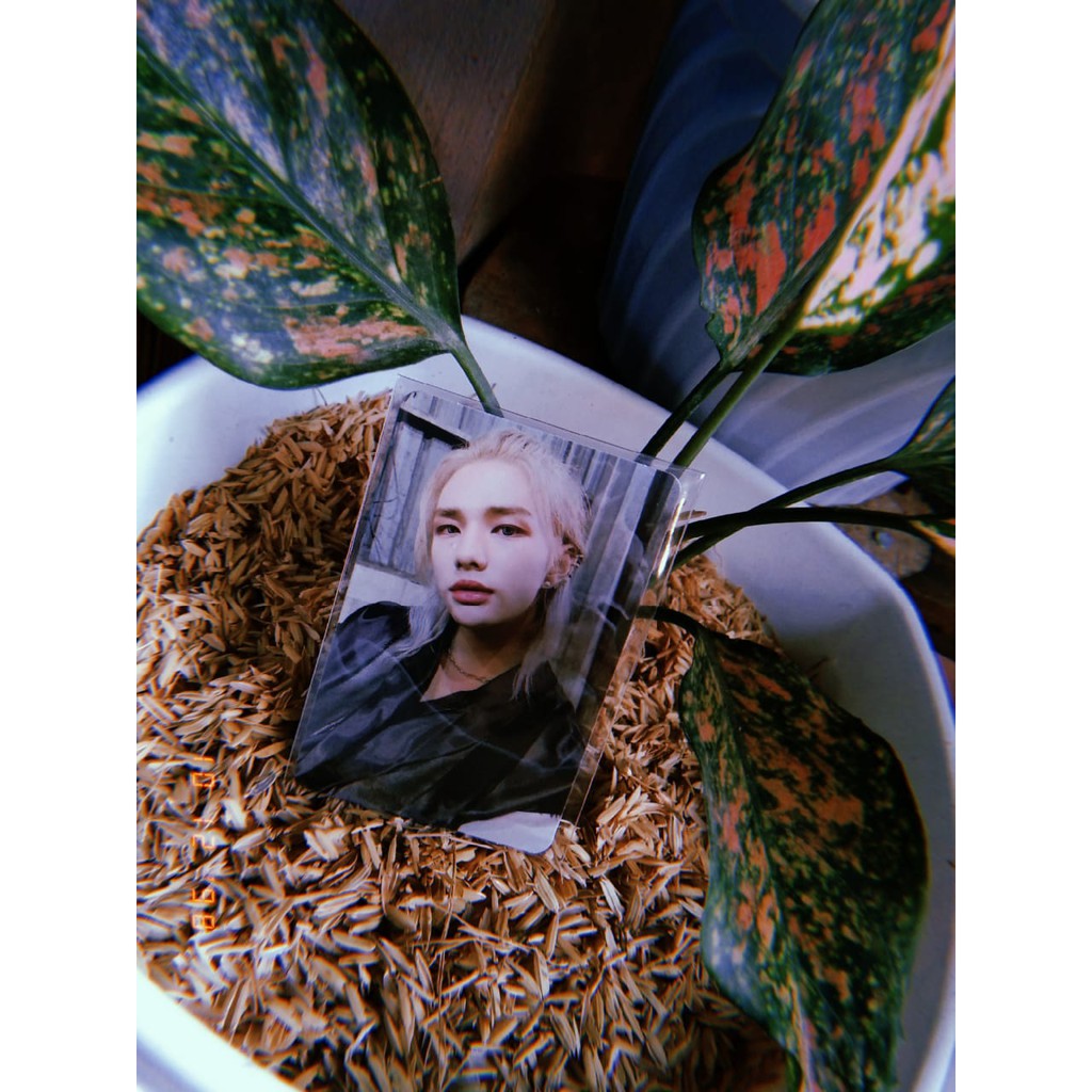 PC PHOTOCARD HYUNJIN DS HANBOK IN LIFE (CEK DESKRIPSI)