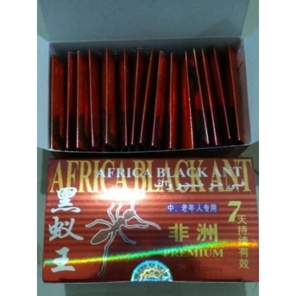africa black ant 15