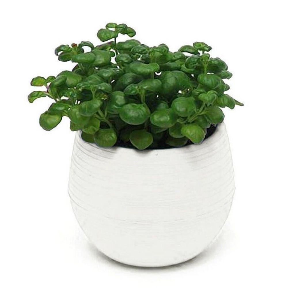 Nickolas1 Pot Bunga Mini Kecil Hijau Tanaman Balkon Sukulen Desktop Ornamen Tanaman Wadah Tanaman