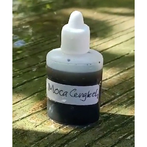 ESSEN MOCCA CENGKEH - Essen Ikan Mas Paling Jitu Kondisi Air Dingin, Hujan & Malam Hari