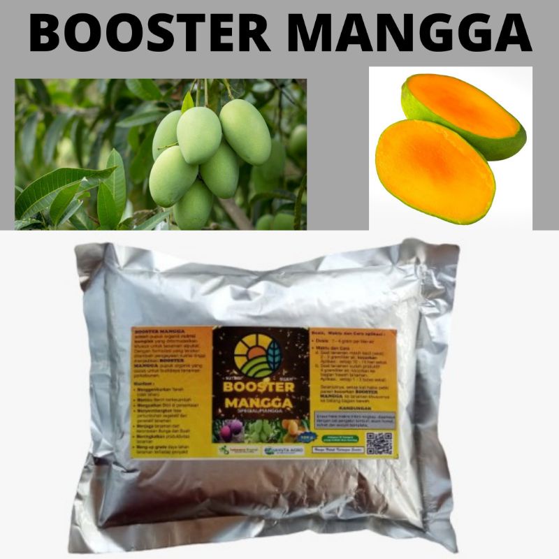 Pupuk Pohon Mangga Supaya Cepat Berbuah, Pupuk Buah Mangga Terbaik