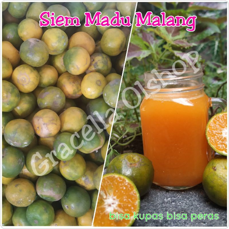 

Jeruk Kupas Siem Malang 1Kg