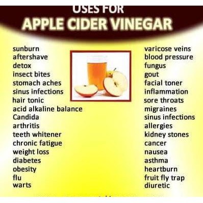 

Bragg, Organic Apple Cider Vinegar (Acv / Cuka Apel) 946Ml For 2Pc Studio.Abrarr