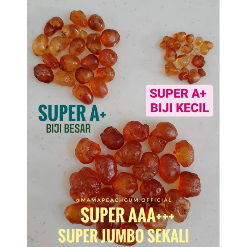 

Peach Gum kualitas SUPER A+ BIJI KECIL, BIJI BESAR ATAU JUMBO