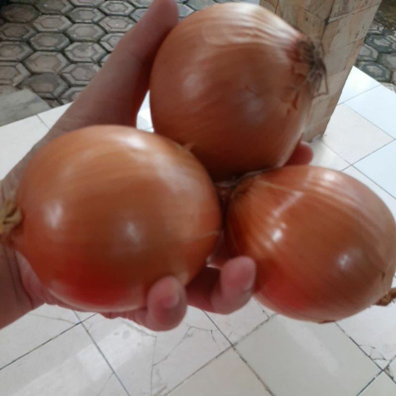 

Bawang bombay 500gr