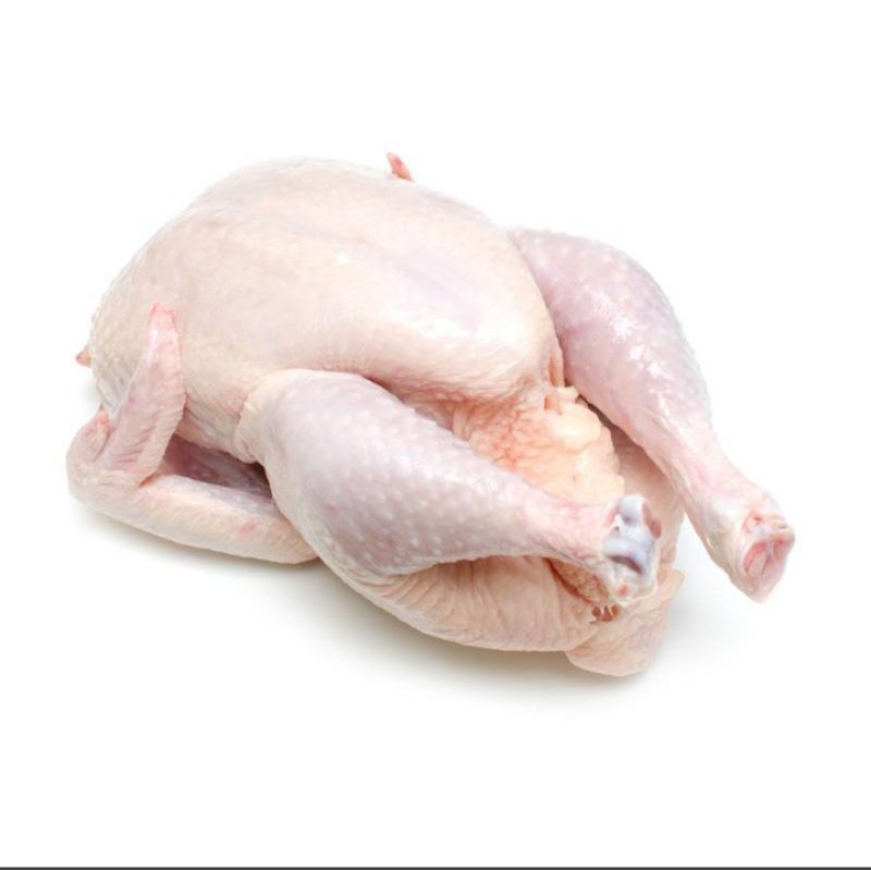 

DAGING AYAM BROILER KARKAS UTUH
