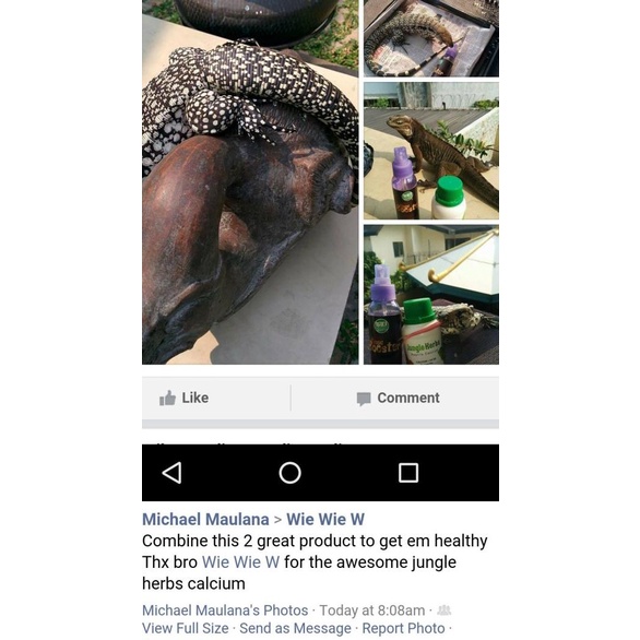 ◌ Jungle Herbs + D3 ♙