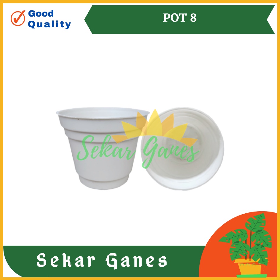 Pot 8cm Putih Garden Of Love Ice Cream Es Krim 8 Cm Pot Plastik Tanaman Benih