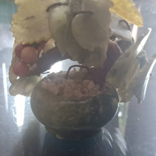 Pohon Giok asli dari Hongkong