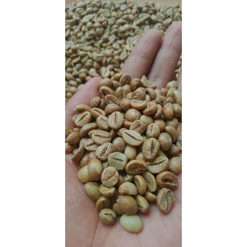 

kopi robusta wine asli temanggung 500gram.