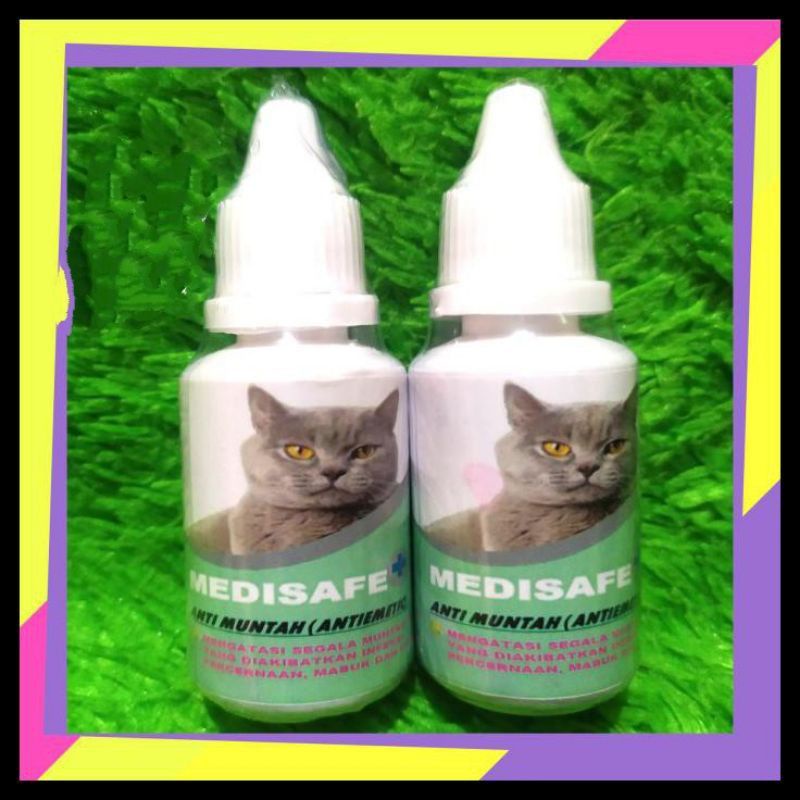 Obat Anti Muntah Untuk Kucing Medisafe