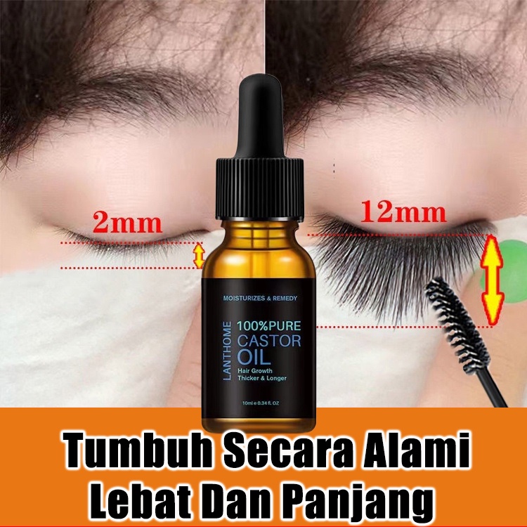 Eyelash &amp; Eyebrow Natural Growth Serum Bulu Mata Dan Penebal Alis Bio Oilash Penumbuh Bulu Mata / Serum Alis Natural Eyelash Essence Eyebrow Oil Growth Essence Castor Oil  Nourishing Oil Repair Thick Eyelashes Catrice Eyelash