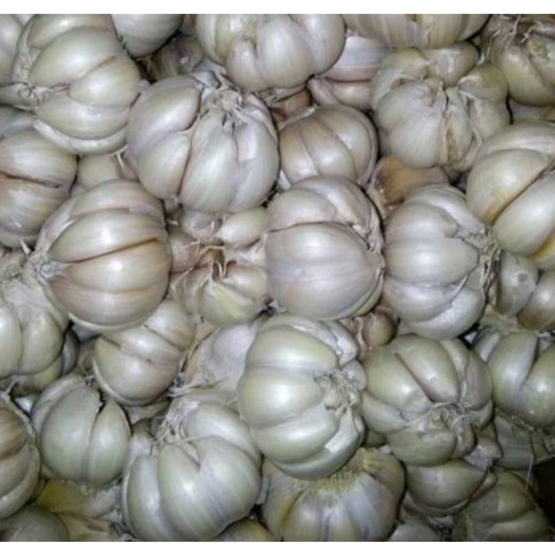 

BAWANG PUTIH 500GR/BAWANG PUTIH FRESH