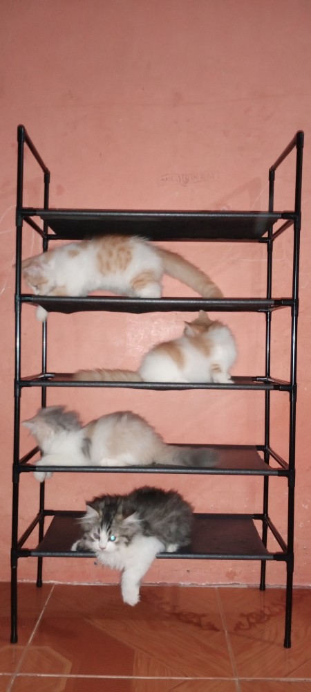 Rak Sepatu 4 Dan 5 Susun Portable Serbaguna