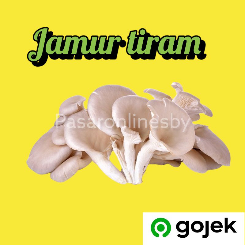 

PASAR GUBENG - Jamur Tiram - Per Pack
