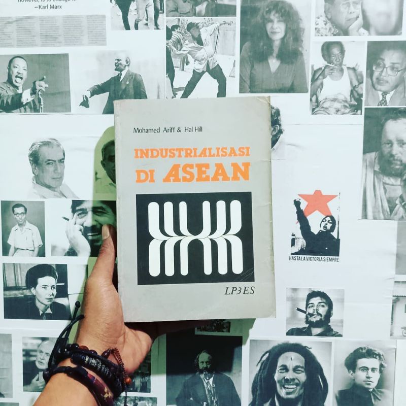 Hal Hill Investasi Asing dan Industrialisasi di Indonesia | Ekonomi Indonesia | Membangun Negara Bar