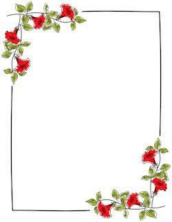 Bibit Anturium Jemani Mangkok Tornado